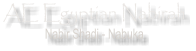 AE Egyptian Nabirah Nabir Shadi - Nabuka
