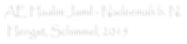 AE Haalim Jamil - Nadeemah b. N.  Hengst, Schimmel, 2015
