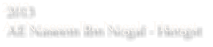 2013 AE Naseem Ibn Nogal - Hengst