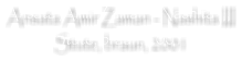 Ansata Amir Zaman - Nashita III Stute, braun, 2001