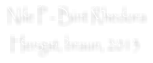 Nile P - Bint Rhedora  Hengst, braun, 2013
