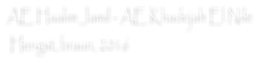 AE Haalim Jamil - AE Khadejah El Nile  Hengst, braun, 2016