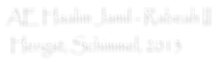 AE Haalim Jamil - Rabeah II   Hengst, Schimmel, 2013