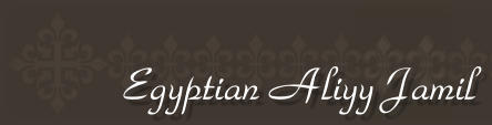 Egyptian Aliyy Jamil